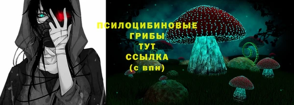 ешки Мегион