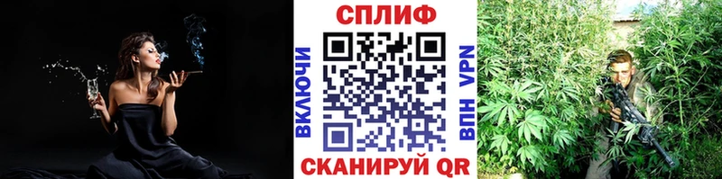 даркнет наркотические препараты  Яровое  Марихуана сатива 